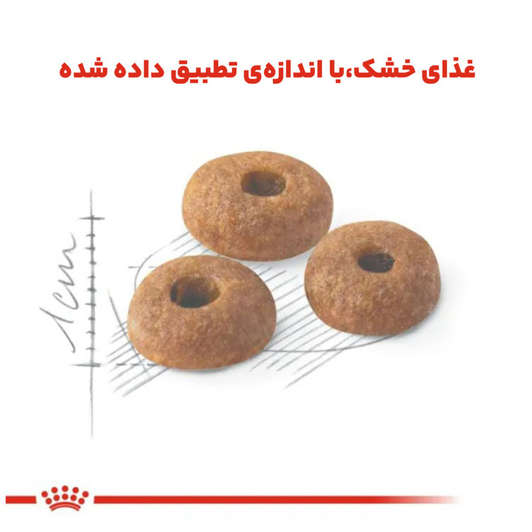 غذای خشک گربه رویال کنین مدل کنترل وزن Regular Fit 32 وزن 2 کیلوگرم