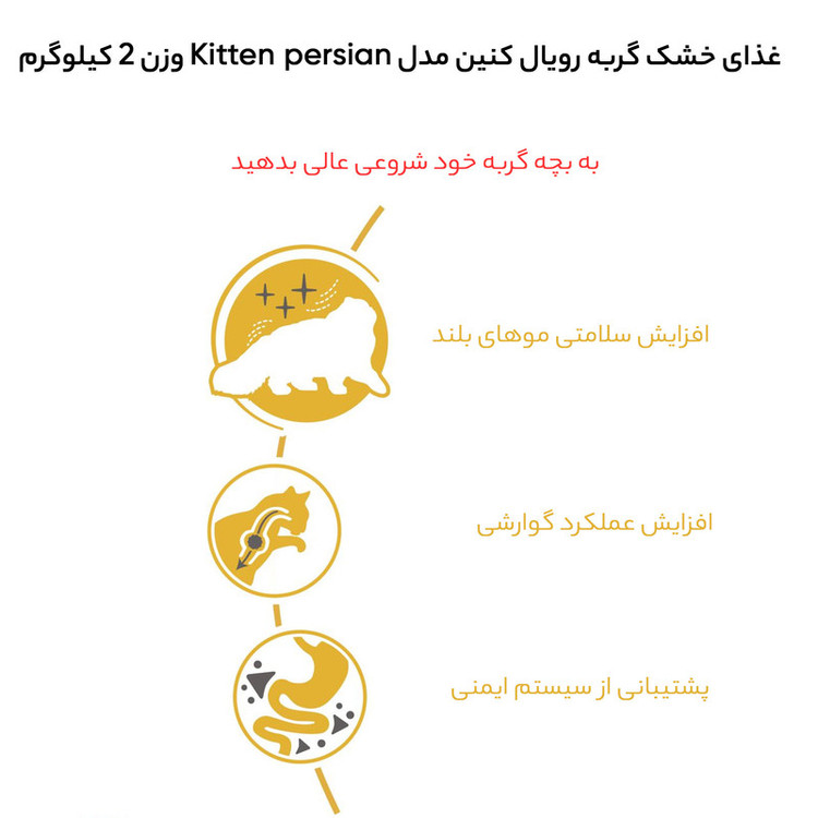 غذای خشک بچه گربه پرشین رویال کنین مدل Persian Kitten وزن 2 کیلوگرم